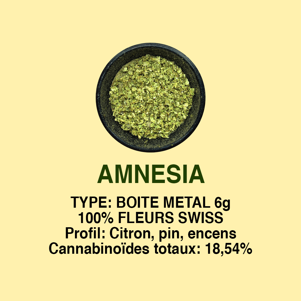 AMNESIA