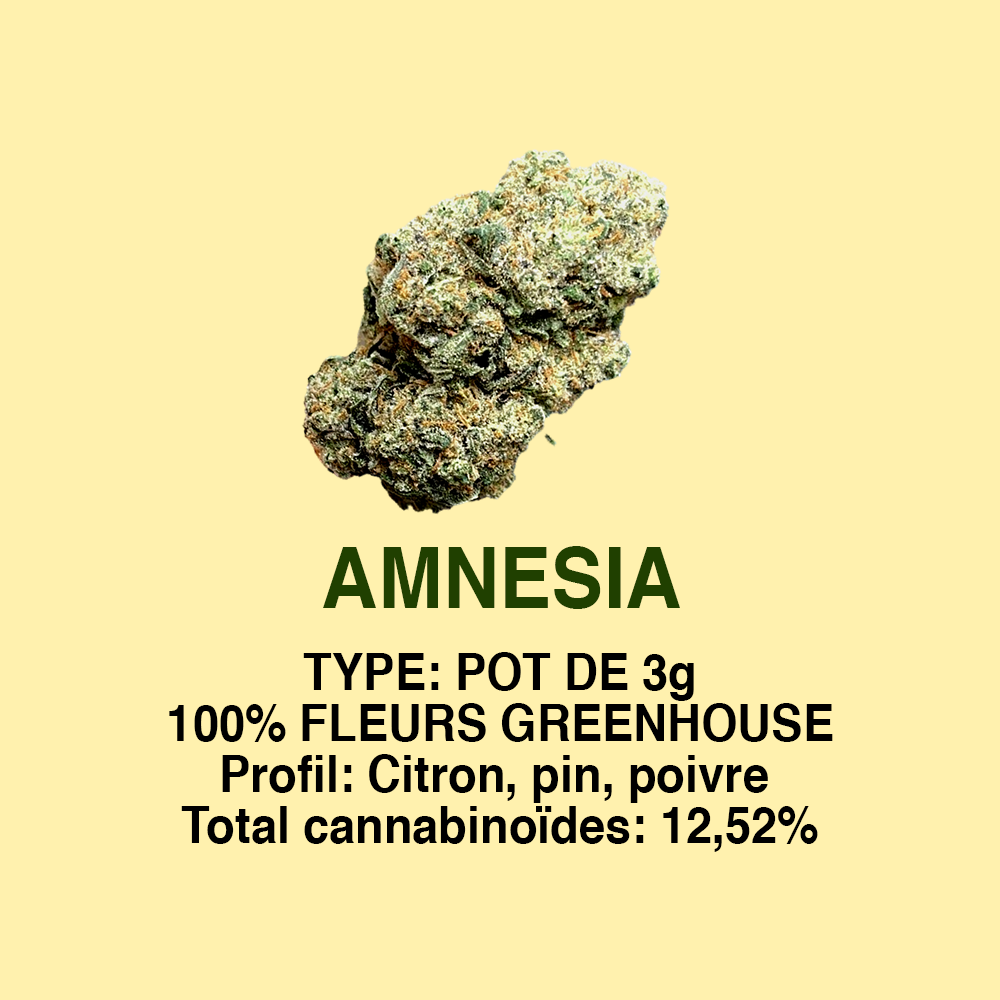 AMNESIA
