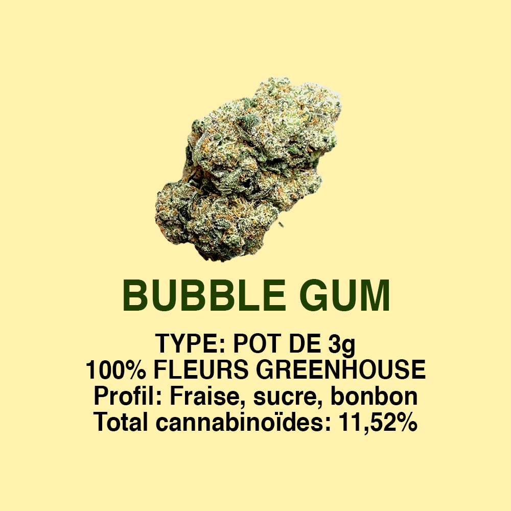 BUBBLE GUM