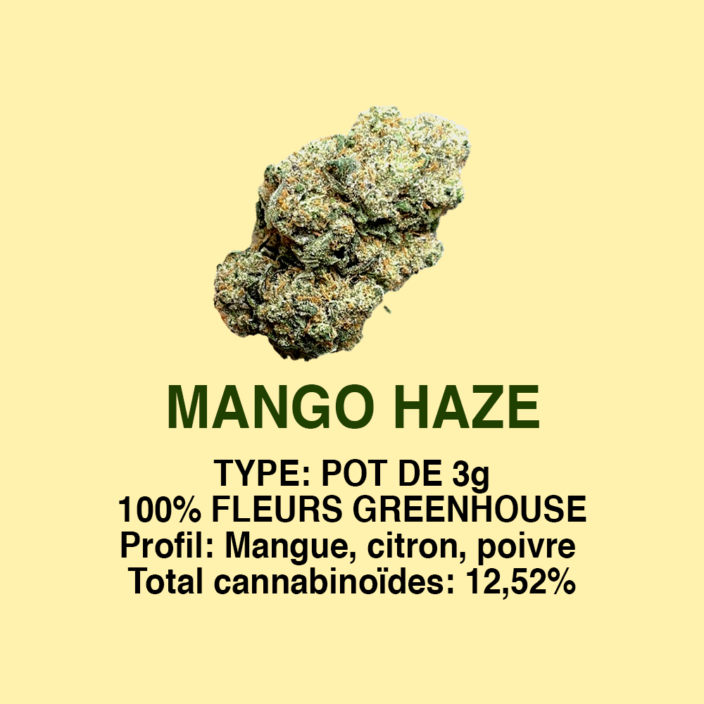 MANGO
