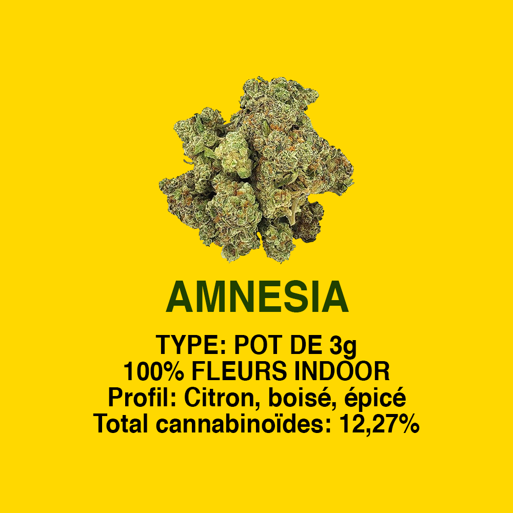 AMNESIA