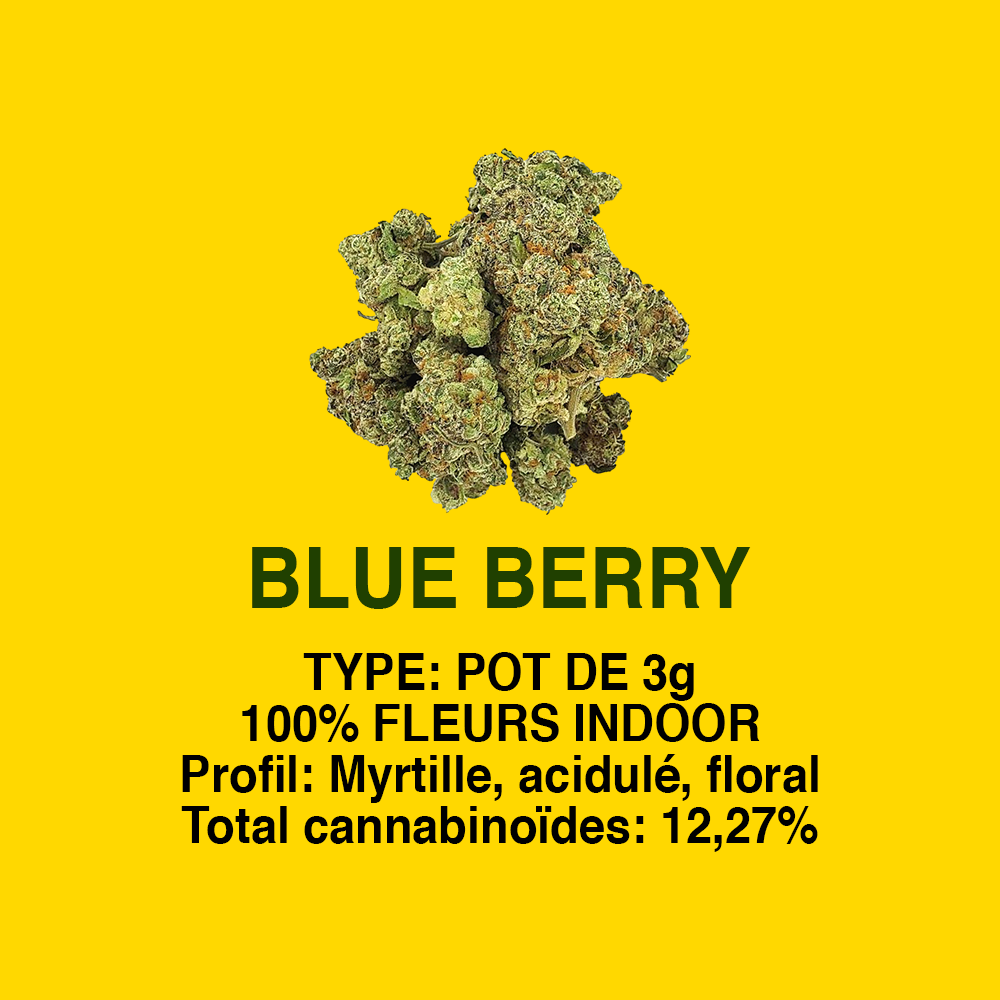 BLUEBERRY