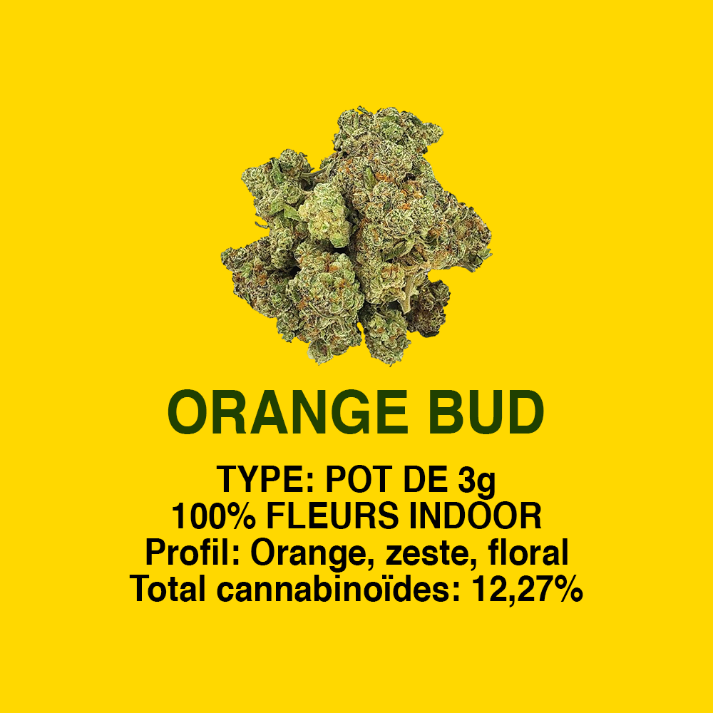 ORANGE BUD
