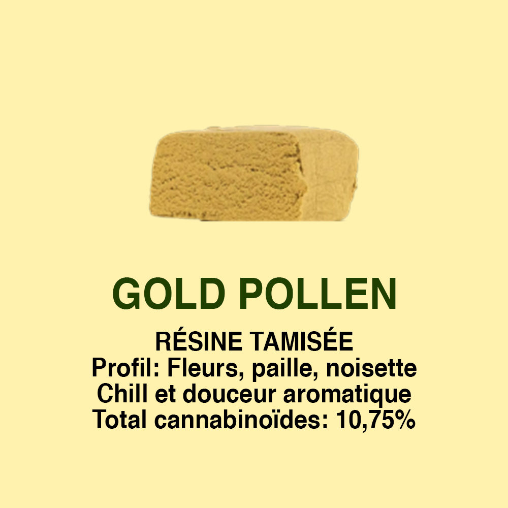 Gold Pollen CBD – texture et profil Cica Lab