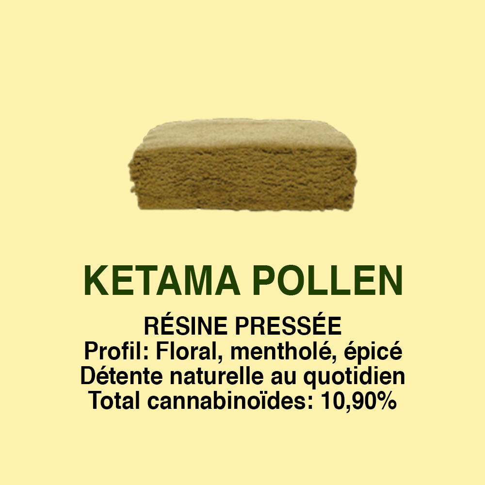 Ketama Pollen CBD – texture et profil Cica Lab