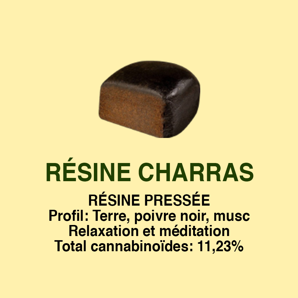 Résine Charras CBD – texture et profil aromatique Cica Lab