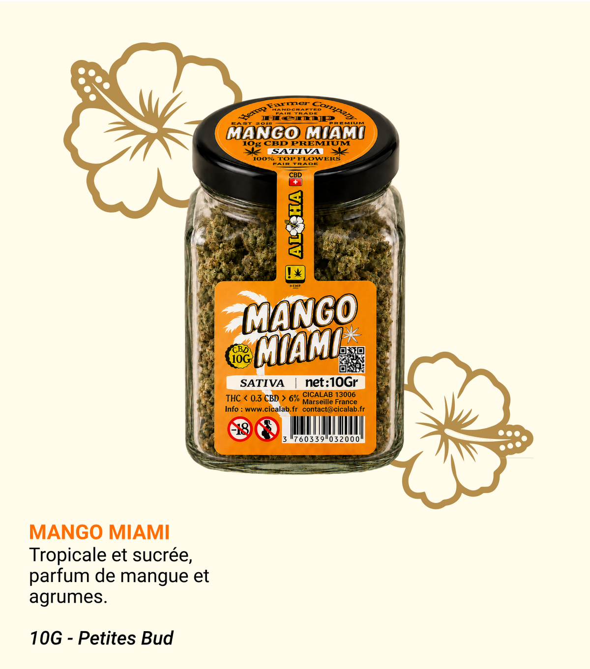 Mango Miami Flower