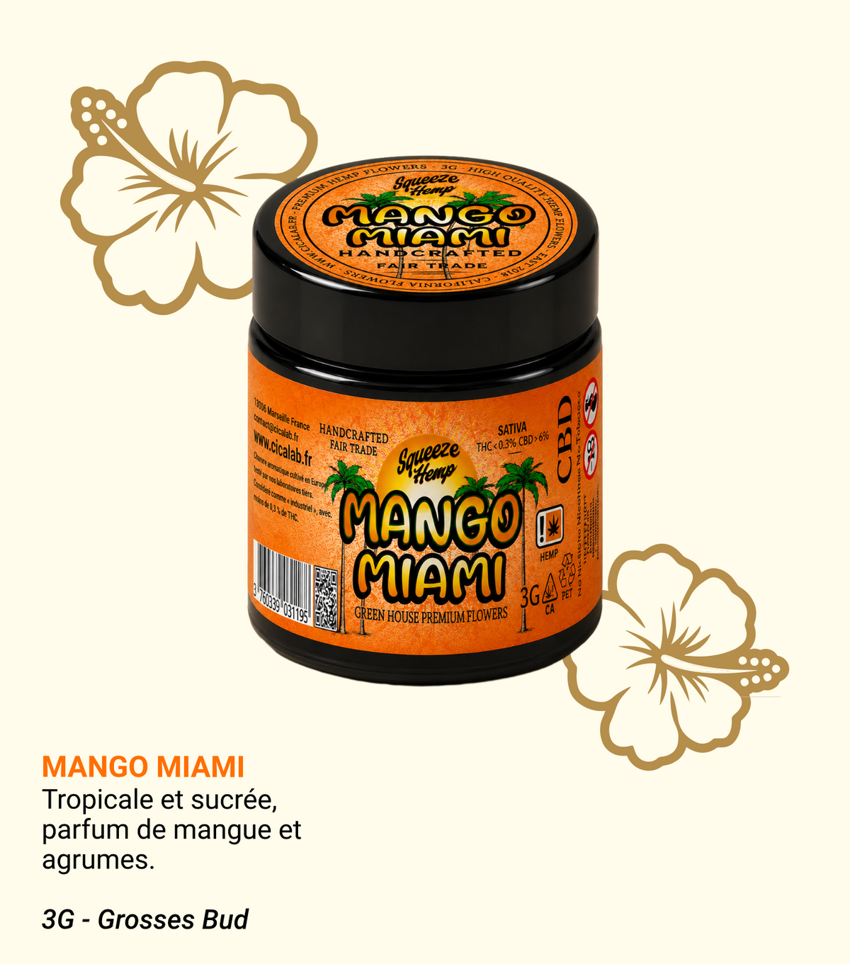 Mango Miami Flower