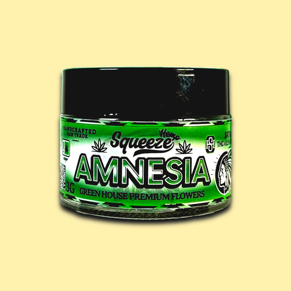 AMNESIA