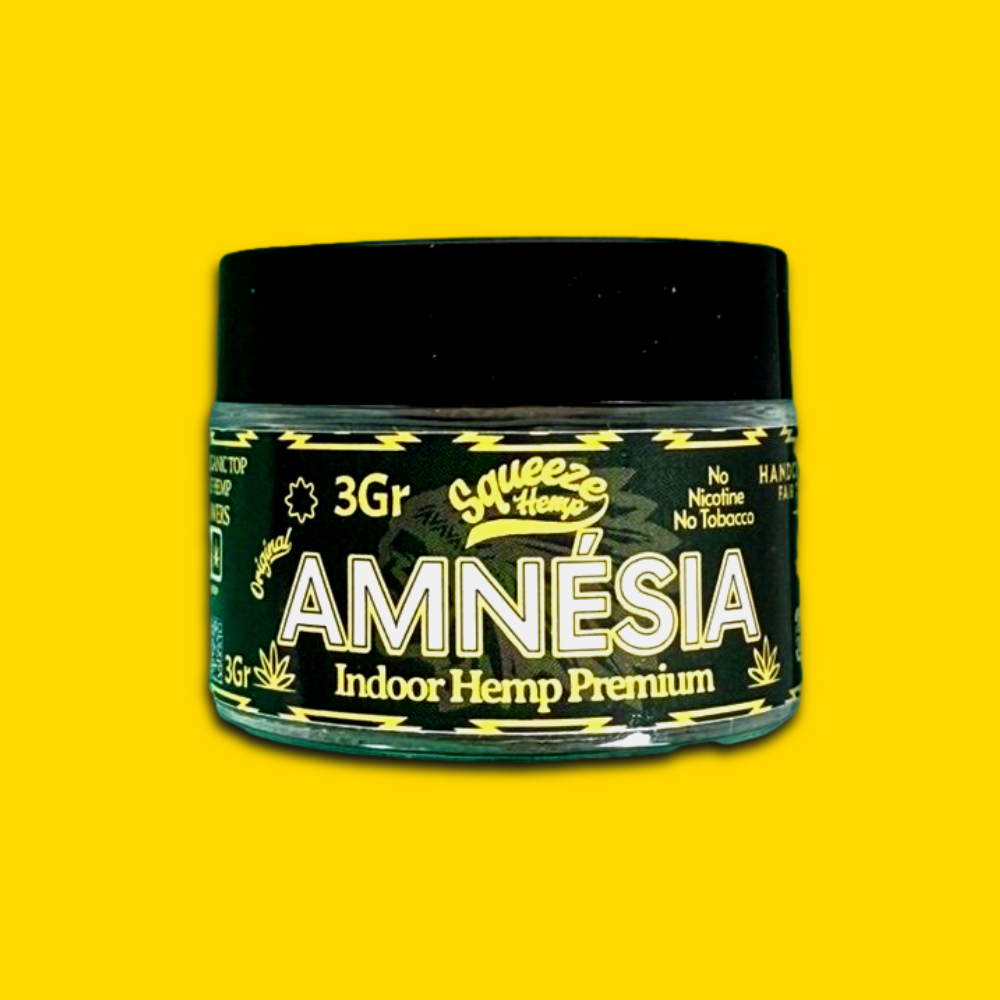 AMNESIA