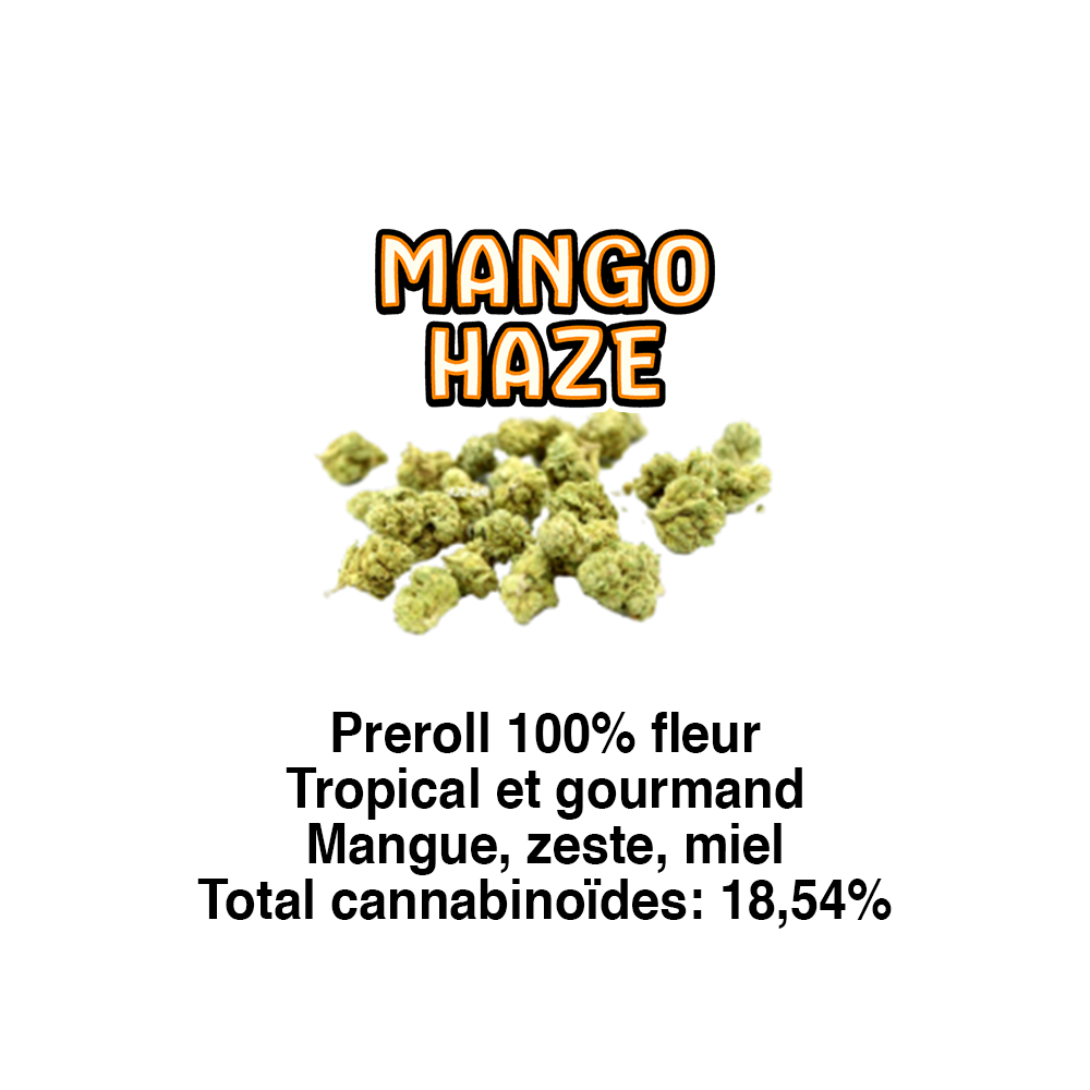 MANGO