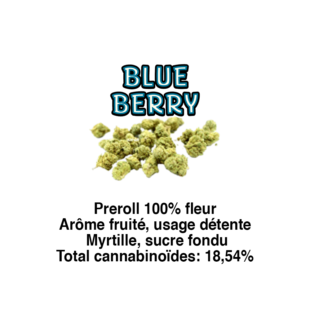 BLUE BERRY