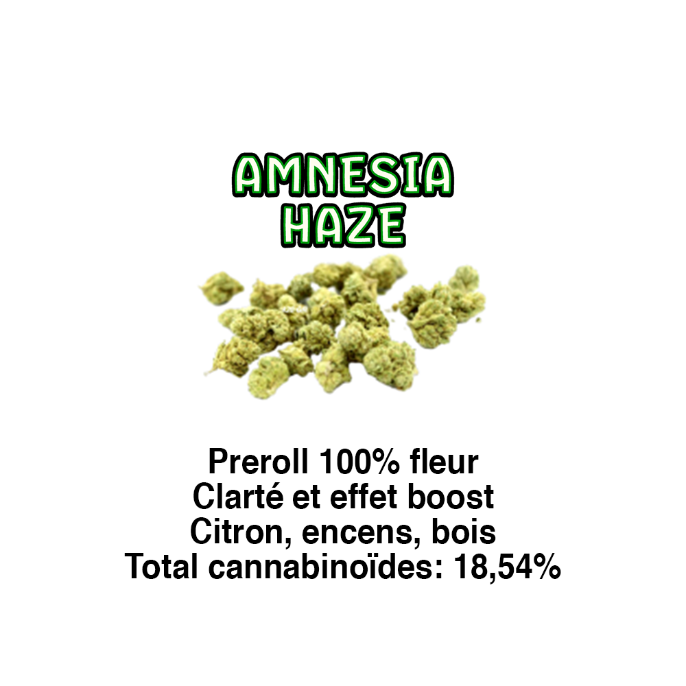 AMNESIA