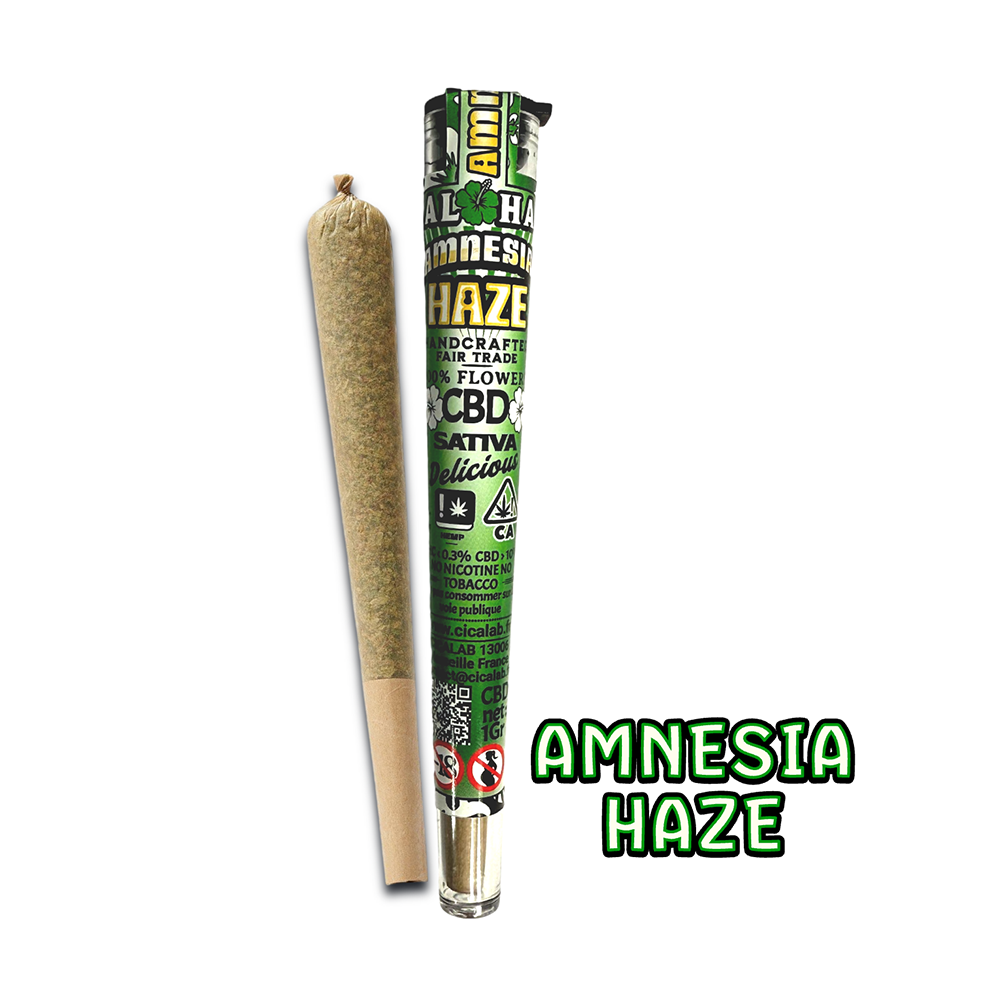 AMNESIA