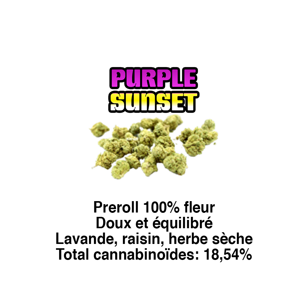 PURPLE SUNSET