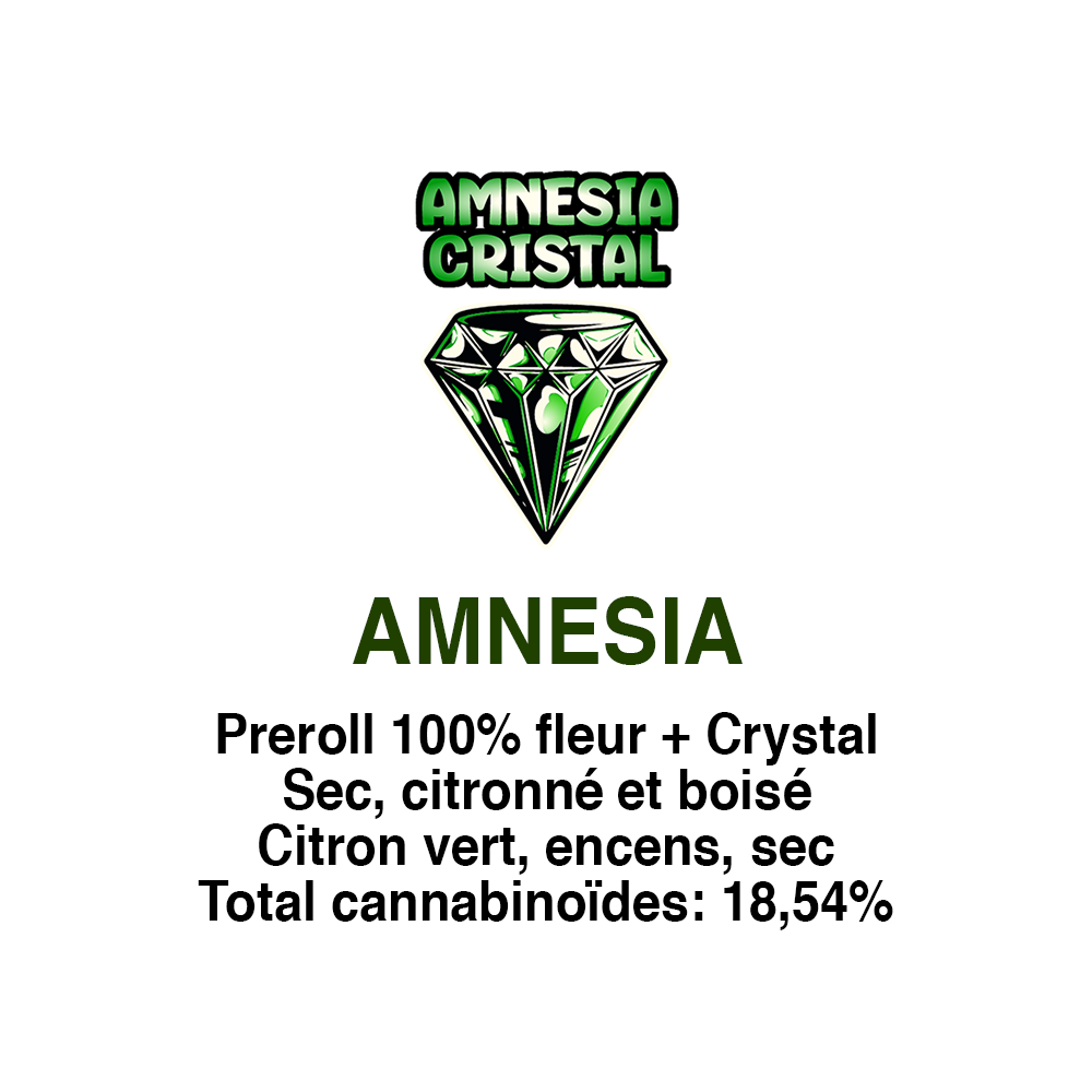 AMNESIA