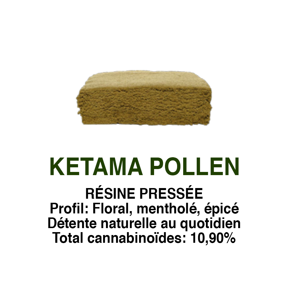 KETAMA POLLEN